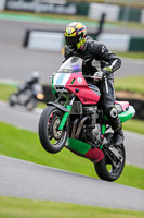 cadwell-no-limits-trackday;cadwell-park;cadwell-park-photographs;cadwell-trackday-photographs;enduro-digital-images;event-digital-images;eventdigitalimages;no-limits-trackdays;peter-wileman-photography;racing-digital-images;trackday-digital-images;trackday-photos